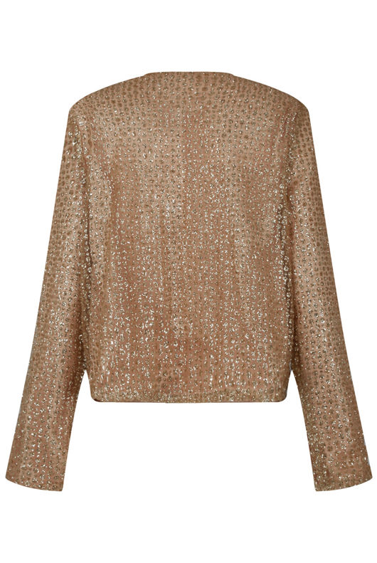 Gold Shimmer Sequin Cropped Jacket