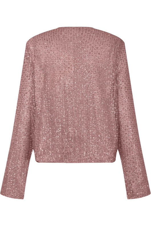Shimmer Sequin Cropped Jacket