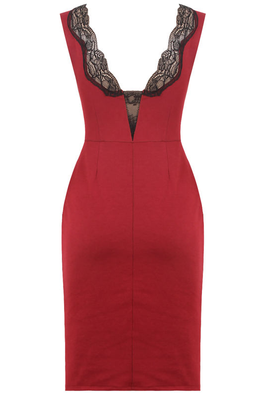 Wine Front & Back Lace Detail Bodycon Dress