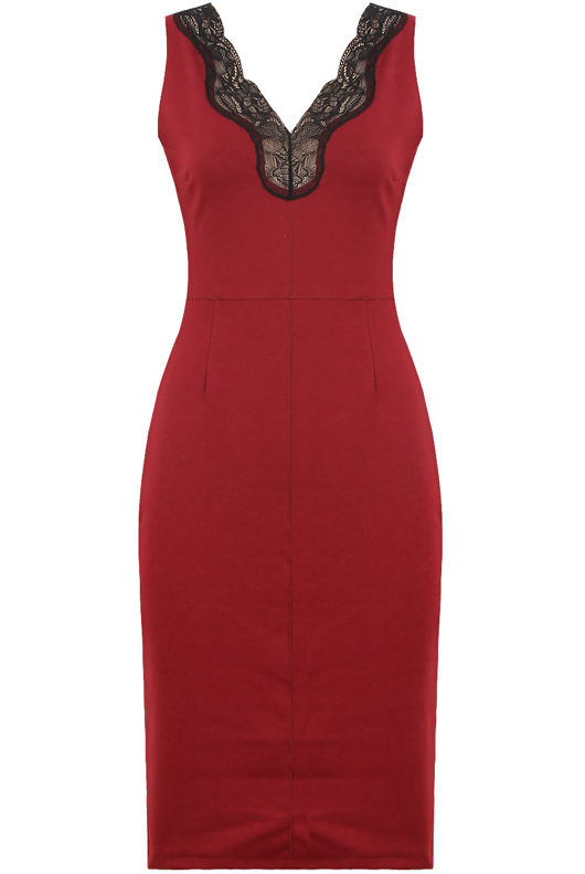 Wine Front & Back Lace Detail Bodycon Dress