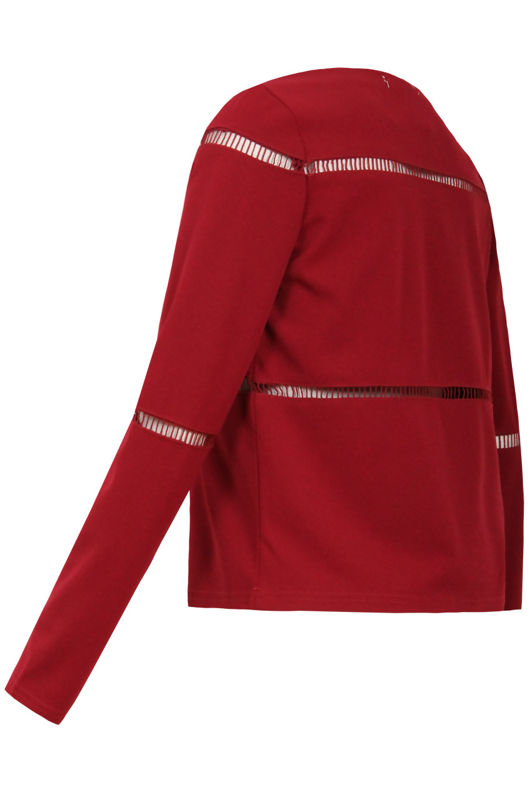 Wine Cut Out Textured Long Sleeve Top