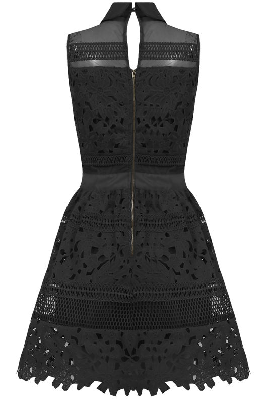 Black Floral Textured Netted Skater Dress