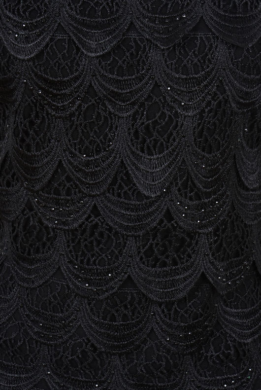 Black Lace Fall Layered Fitted Dress 