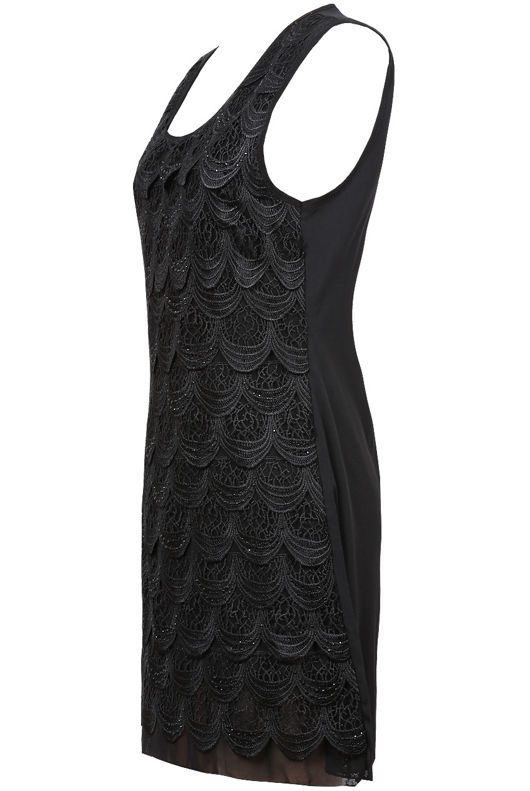 Black Lace Fall Layered Fitted Dress 