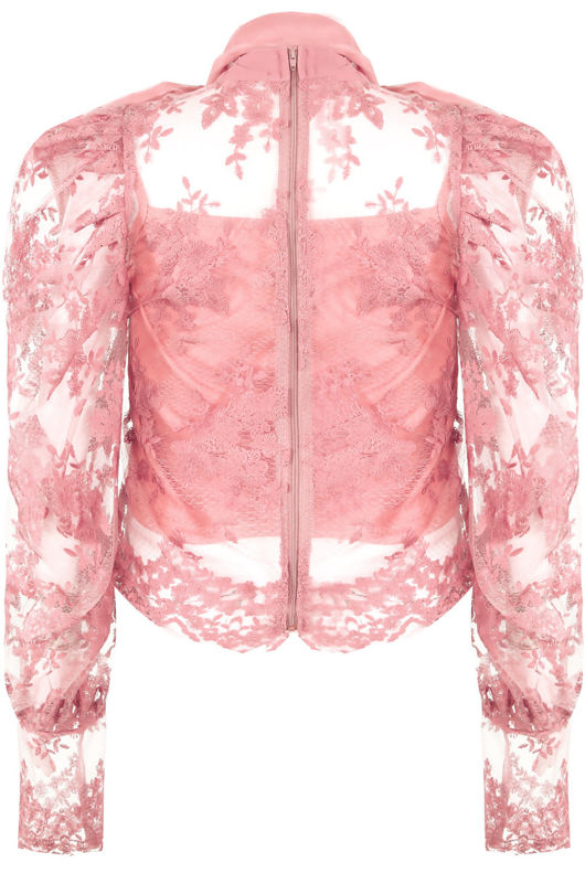 Rose Lace Mesh Knot Collar Blouse