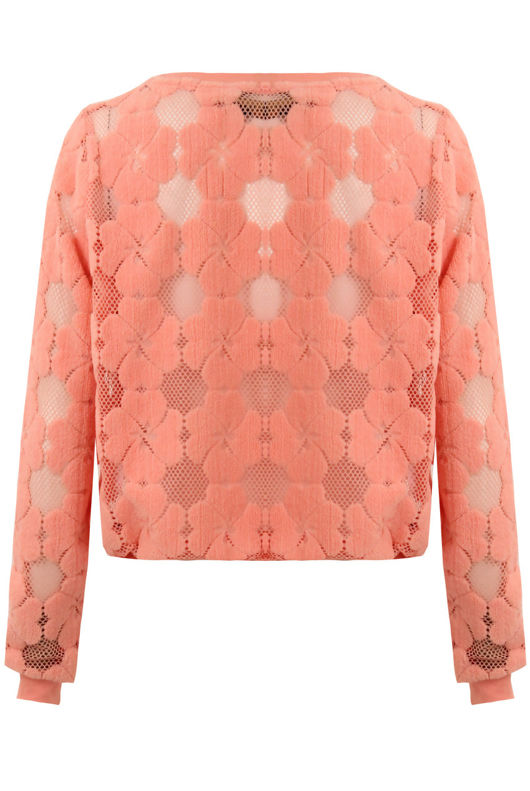 Rose Floral Netted Textured Long Sleeve Tops