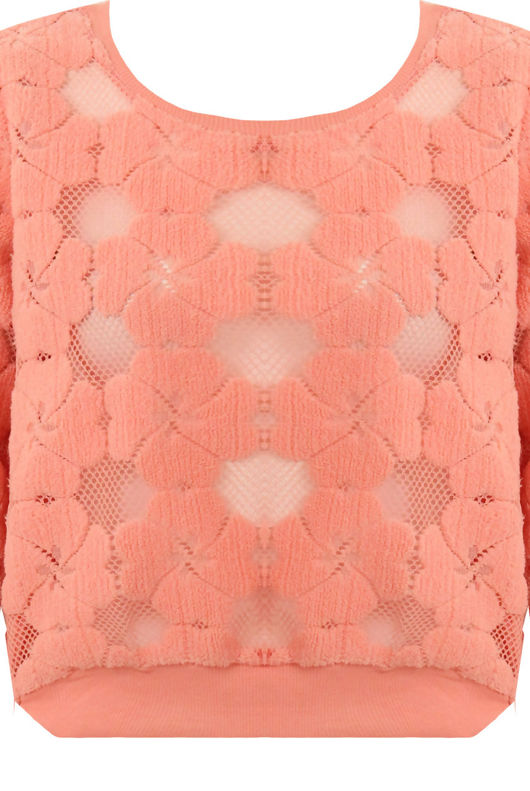 Rose Floral Netted Textured Long Sleeve Tops