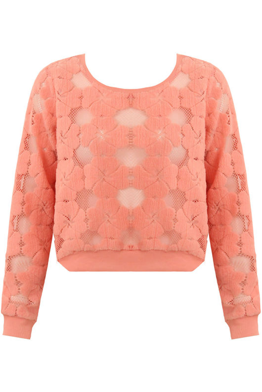 Rose Floral Netted Textured Long Sleeve Tops