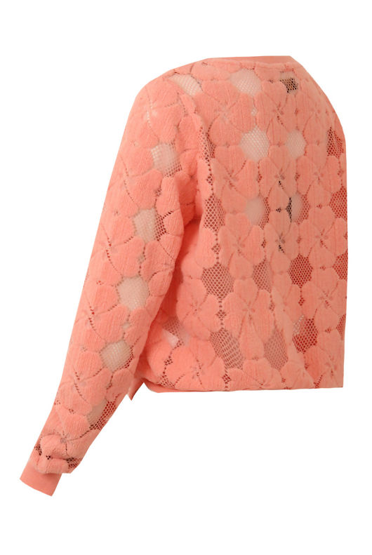 Rose Floral Netted Textured Long Sleeve Tops