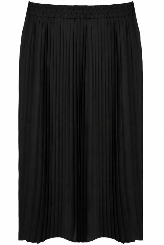 Black Elasticated Waist Pleated Flare Skirt