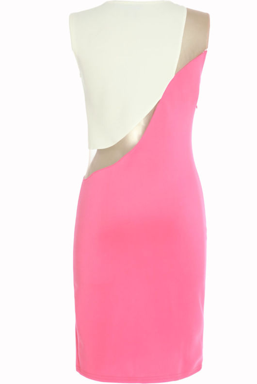 Contrast Pink Body Cut Mesh Panel Dress