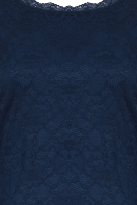 Navy Flower Lace Detail Back Zip Up Bodycon Dress