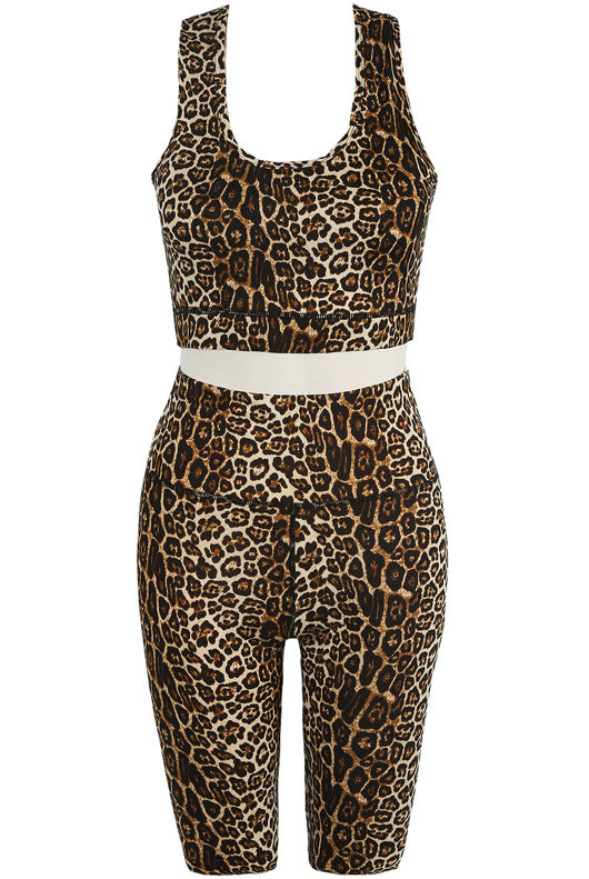 Brown Leopard Print Tops & Trouser Active Set