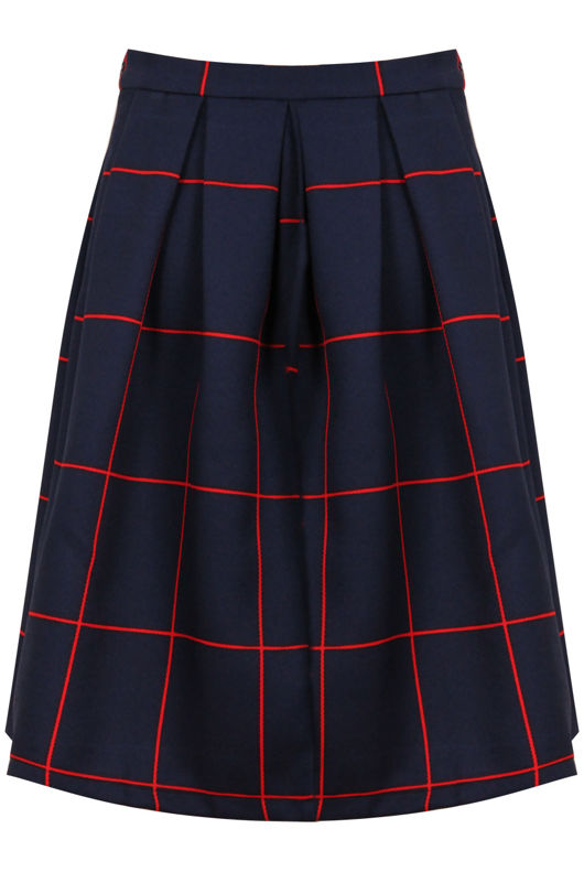 Navy Pintuck Pleated Flared Skirt