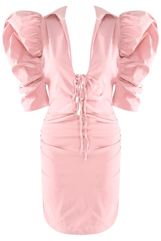 Rose Puffed Sleeves Plunge Neck Dress