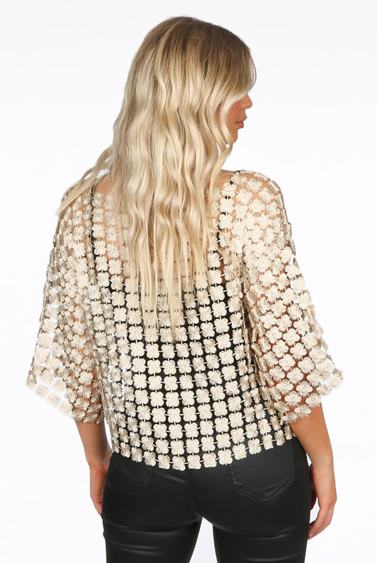 Gold Embroidered Mesh Tops