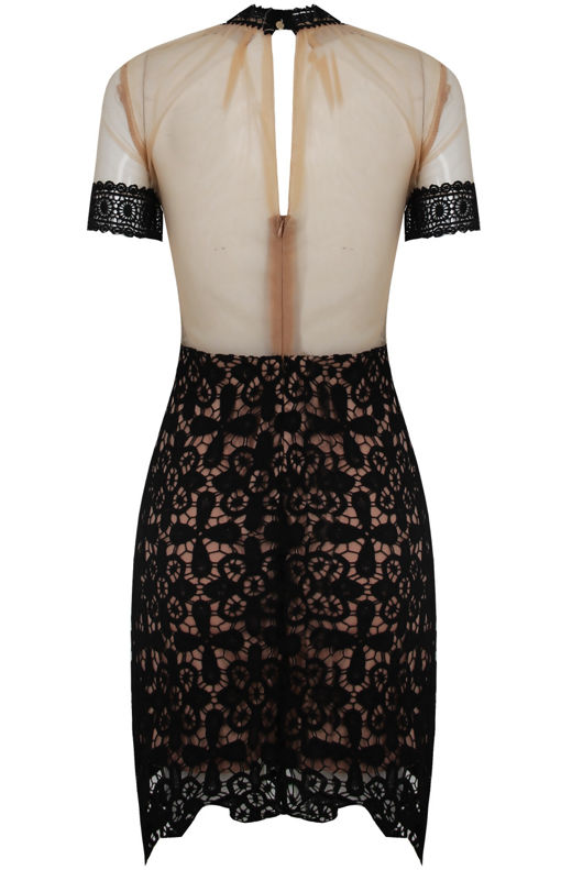 Floral Contrast Lace Textured Bodycon Dress