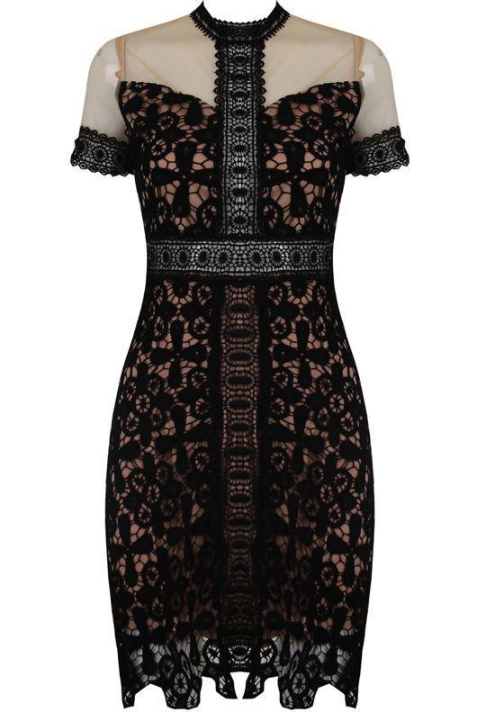 Floral Contrast Lace Textured Bodycon Dress