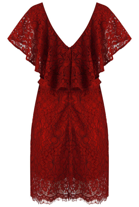 Wine Floral Lace Lined Shift Dress