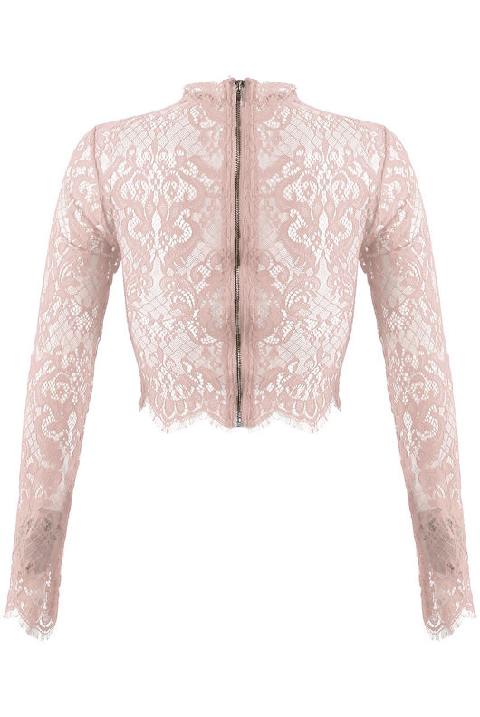 Pink Lace Intricate Scallop Top