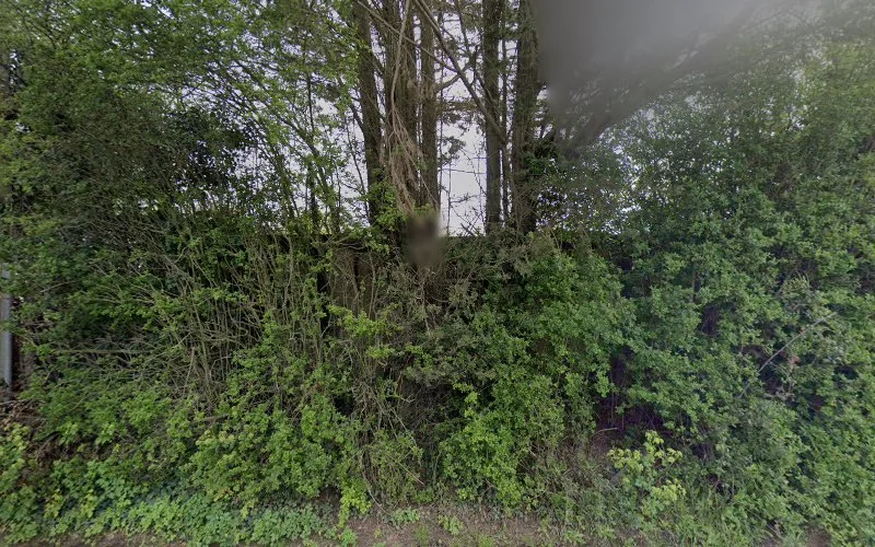 Sandwich Driving School