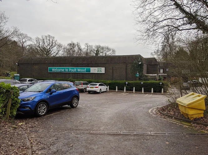 Poult Wood