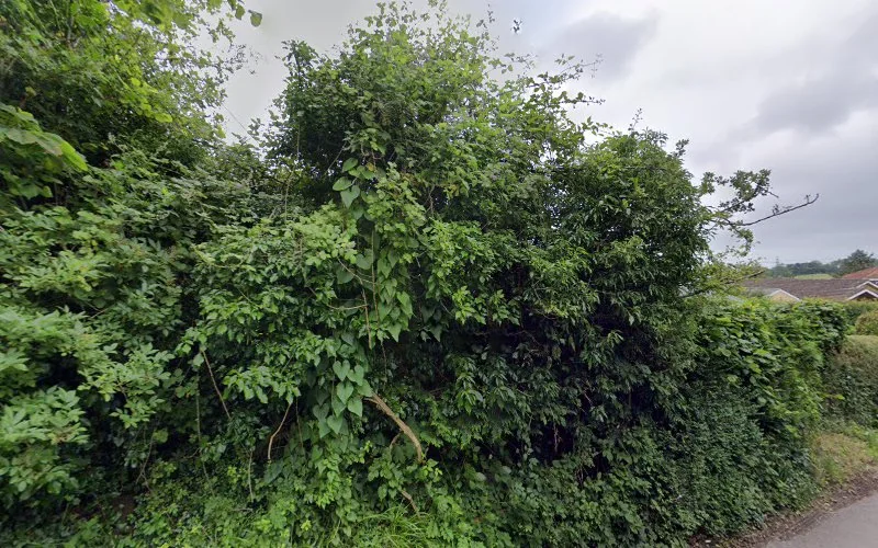 Midrive Driving Lessons Folkestone