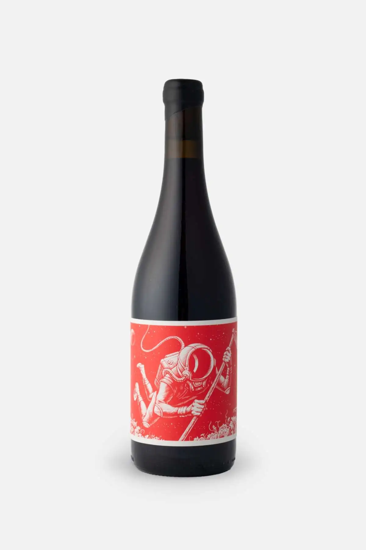 El Cosmonauta y el Viaje en el Tiempo product photo