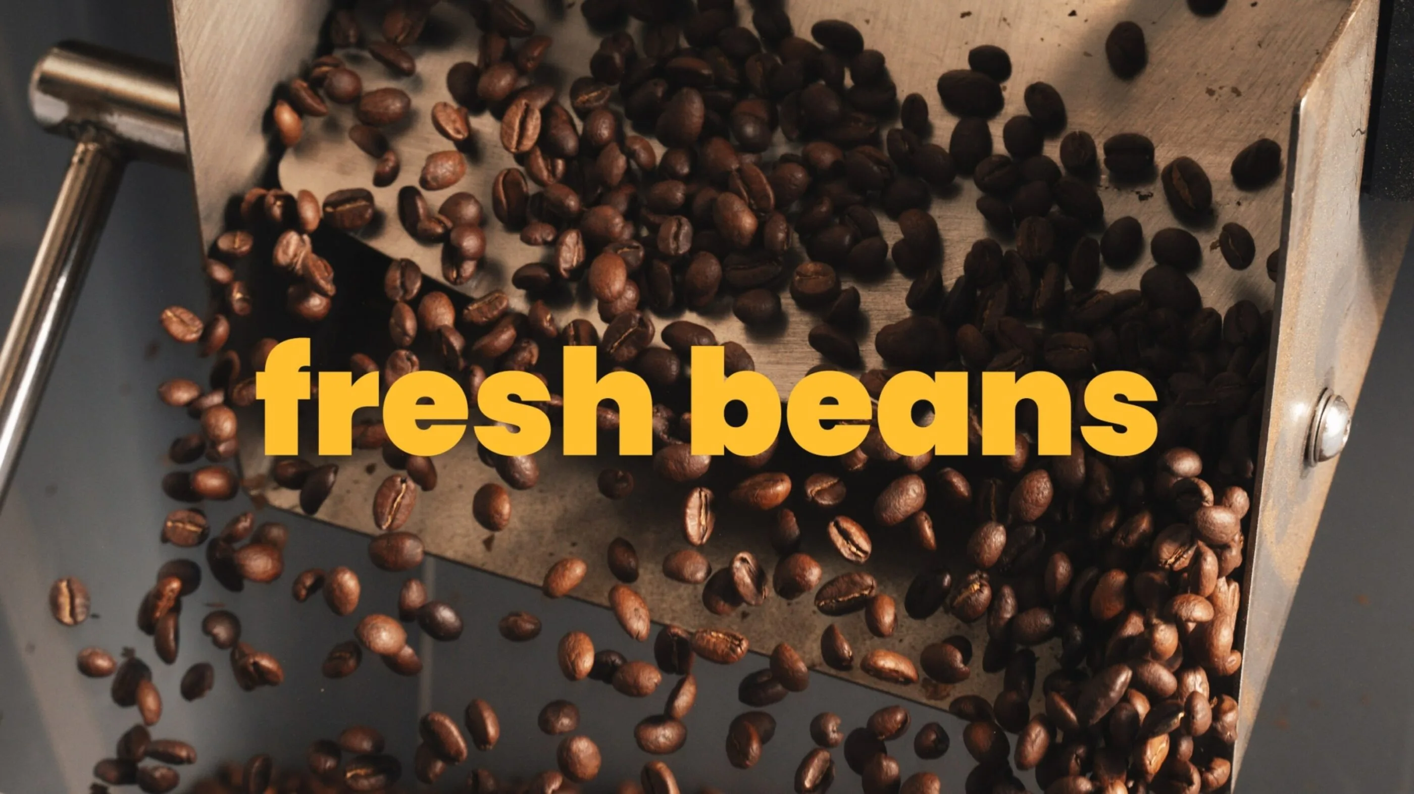How long do coffee beans stay fresh? blog image