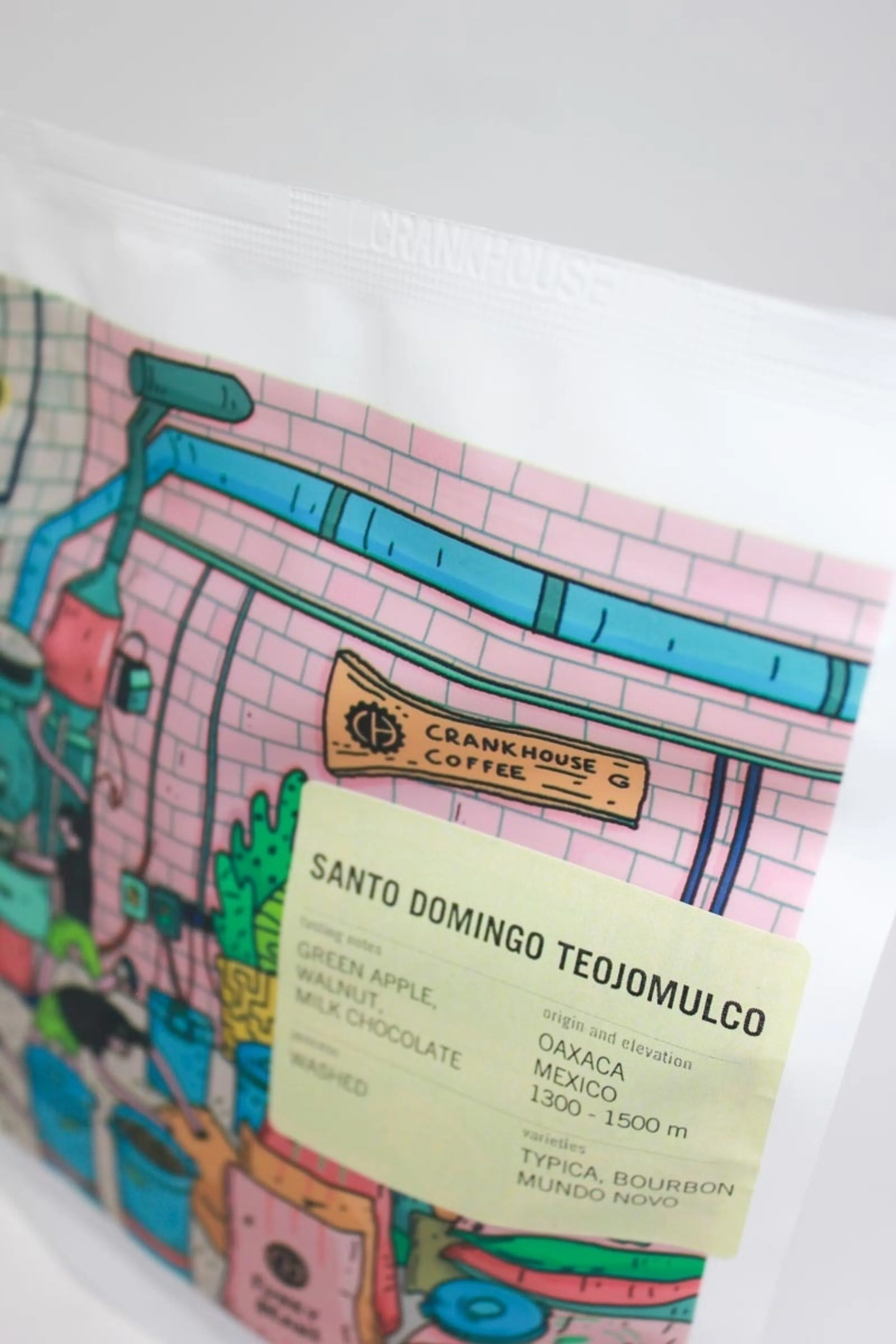 Santo Domingo Teojomulco, Mexico secondary product photo