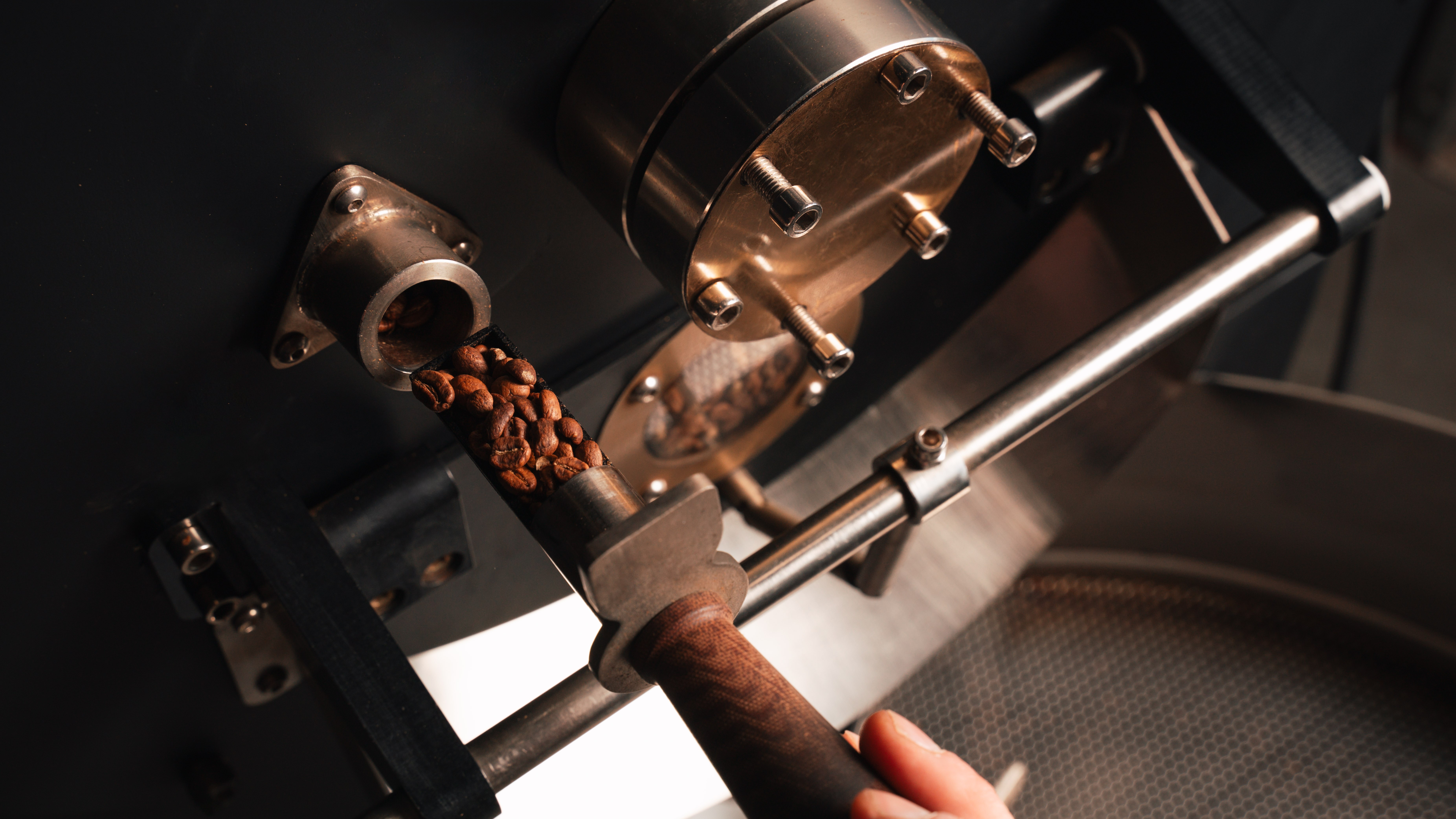 Local Lots 01 - Wilder Lasso Lactic Ferment, Colombia secondary product photo