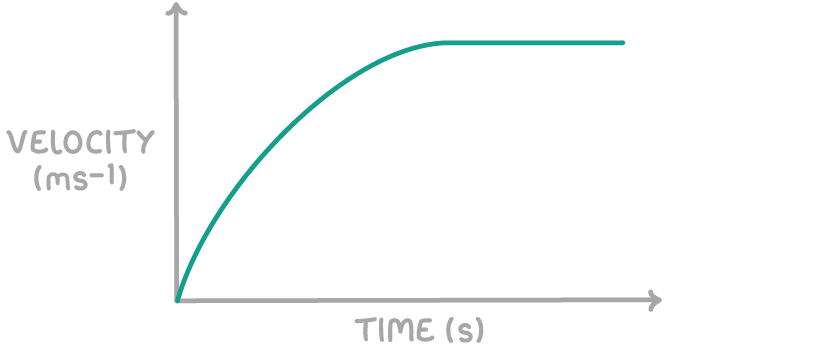 A velocity-time graph, axes labelled velocity (ms-1) and time (s), with a single green curve that rises steeply at first, gradually becomes less steep, then levels off into a horizontal line.