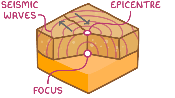 Cut-away block of the ground showing an earthquake. The focus is the point underground where the rock breaks, and the epicentre is the point on the surface directly above it. Rings of seismic waves spread outwards from the focus.