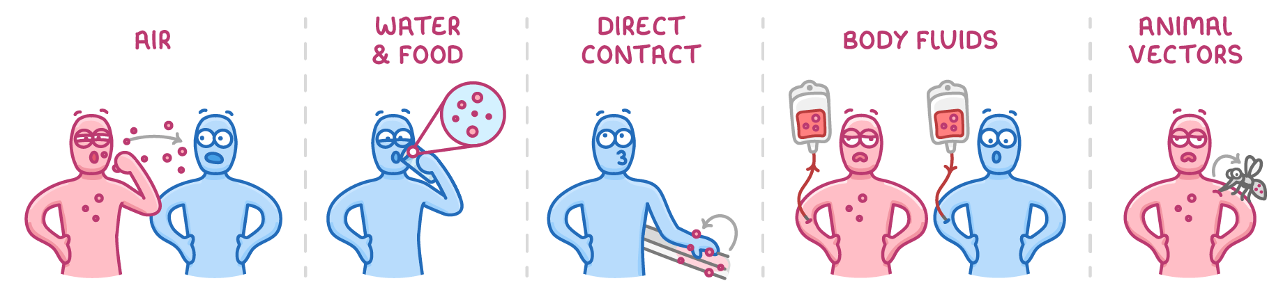 Five panels headed air, water & food, direct contact, body fluids and animal vectors, each showing figures passing pathogen dots on: coughing, drinking, touching a surface, sharing blood bags, and a mosquito biting.
