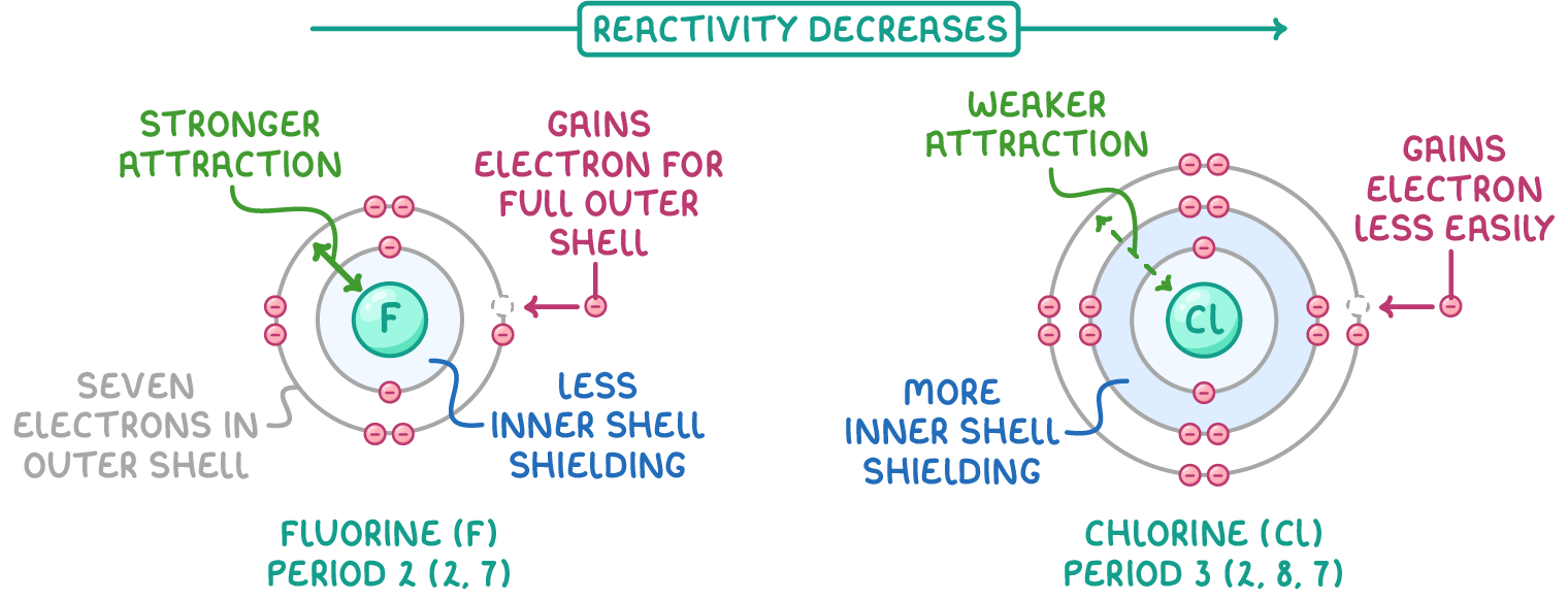 Fluorine and chlorine atoms, each gaining an electron, under an arrow labelled reactivity decreases; fluorine is labelled stronger attraction and less inner shell shielding, chlorine weaker attraction and more inner shell shielding.