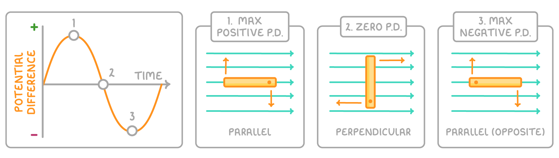 A wave graph of potential difference against time marked 1, 2 and 3, beside three panels of a coil in a field: max positive p.d. parallel, zero p.d. perpendicular, max negative p.d. parallel (opposite).