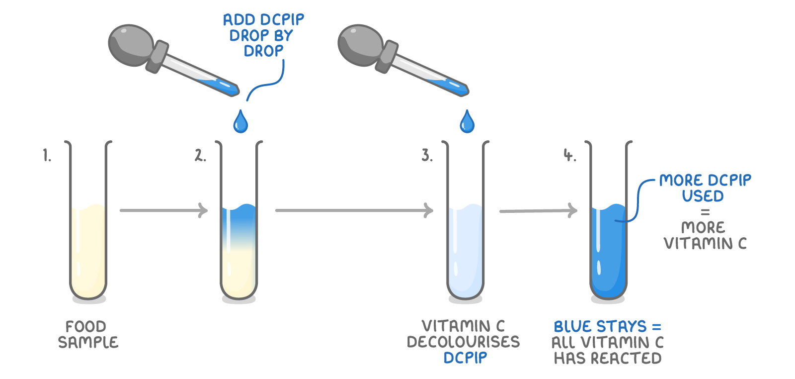 Four tubes of food sample with DCPIP added drop by drop, the third pale and labelled vitamin C decolourises DCPIP, the fourth blue and labelled blue stays, all vitamin C has reacted.