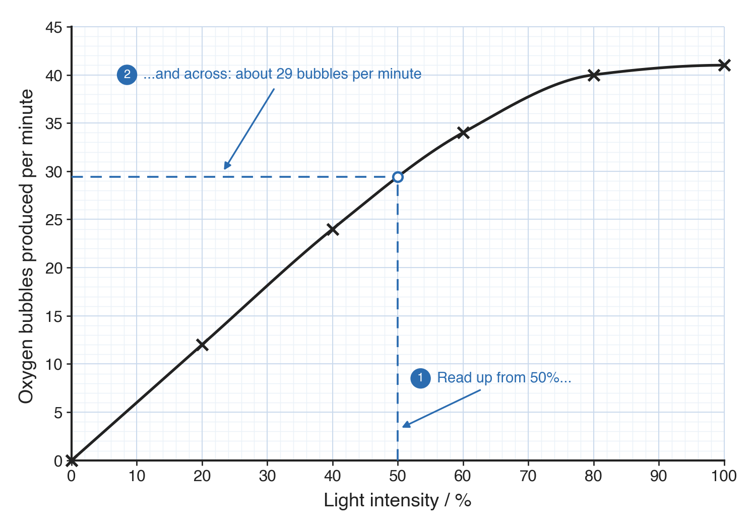 Dashed blue lines run up from 50% light intensity to the curve and across to the other axis, labelled read up from 50% and across: about 29 bubbles per minute.