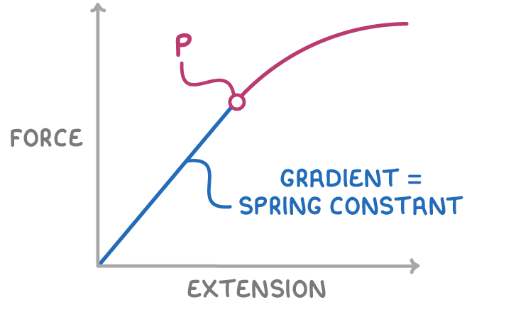Force up the vertical axis against extension along the horizontal: a straight blue line from the origin, labelled gradient = spring constant, bends into a pink curve at a small ring labelled P.