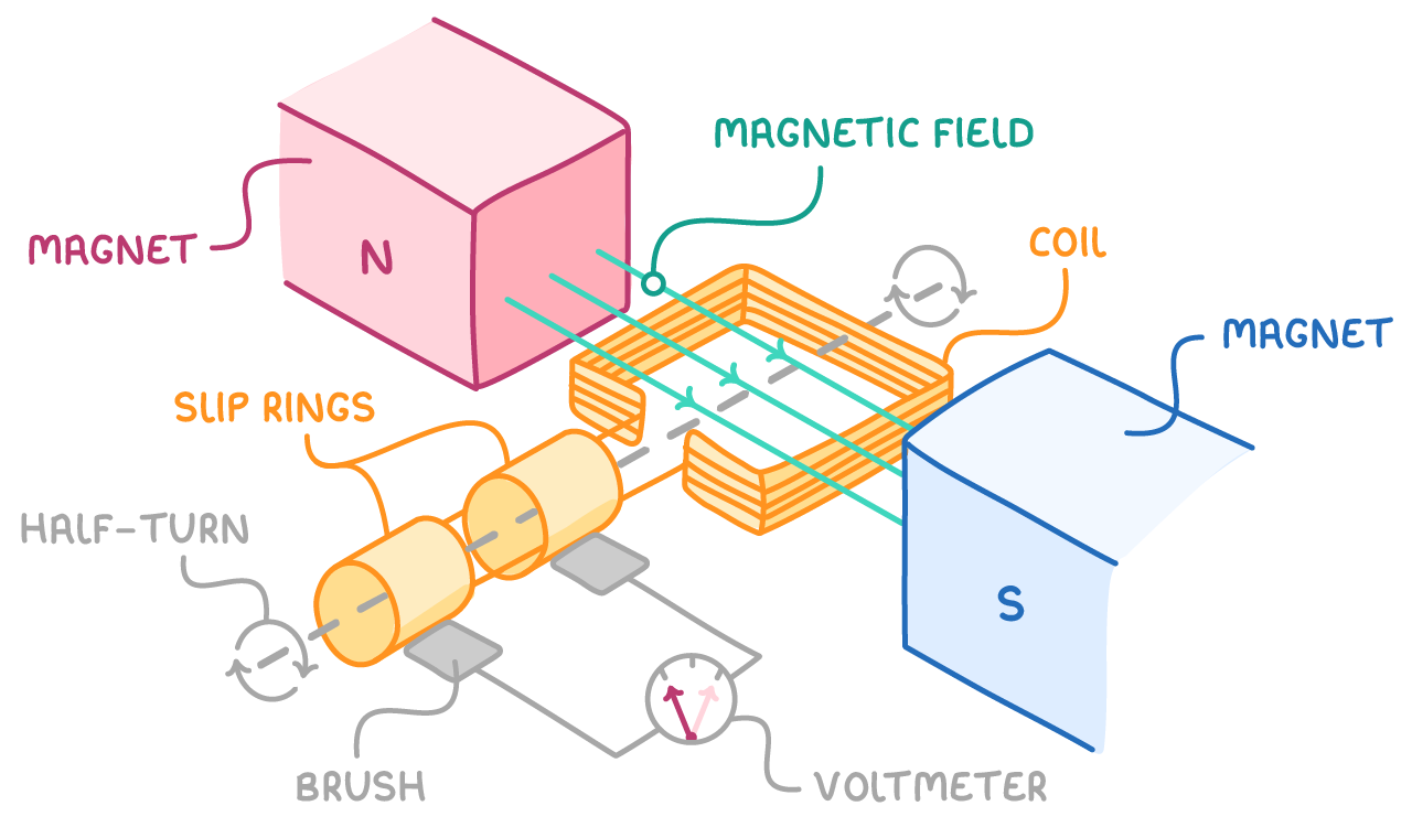 A rectangular coil turning between north and south pole blocks, its shaft carrying two rings touching flat contacts wired to a meter, labelled magnet, magnetic field, coil, slip rings, half-turn, brush and voltmeter.