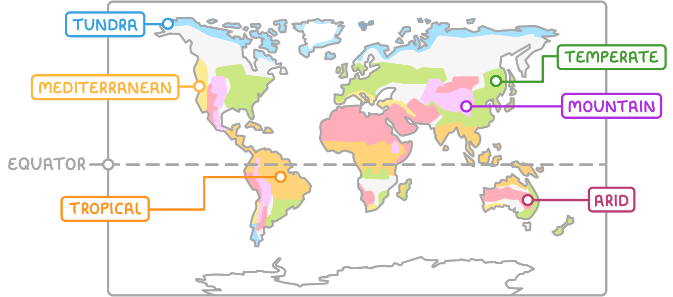 World map of climate zones: tropical along the equator in South America, Africa and South-east Asia; arid bands either side of it, including North Africa and central Australia; Mediterranean on a few west coasts such as California; temperate across the mid-latitudes of North America, Europe and Asia; tundra in the far north; and mountain zones along the great ranges. A dashed line marks the equator.