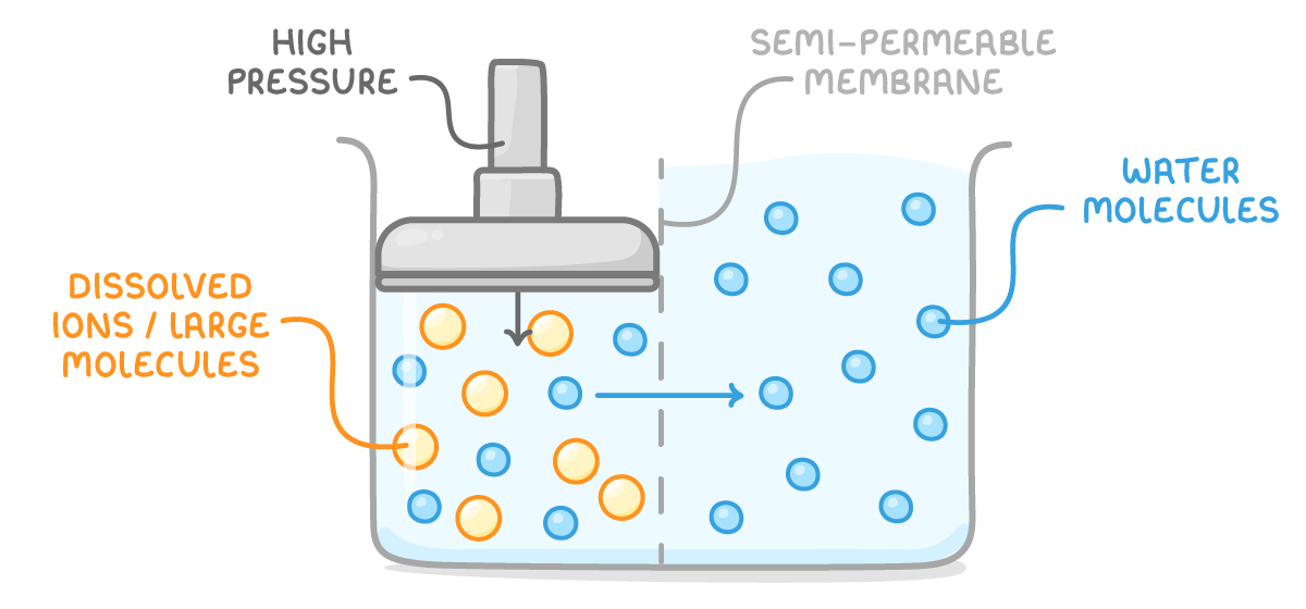 A plunger labelled high pressure pushes on water in a tank, forcing blue water molecules through a dashed semi-permeable membrane while orange dissolved ions / large molecules stay behind.