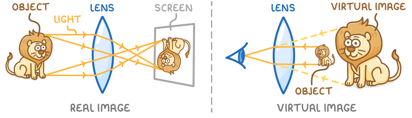 A cartoon lion whose light passes through a lens to form an upside-down lion on a screen, labelled real image, and an eye seeing a bigger lion behind dashed rays, labelled virtual image.