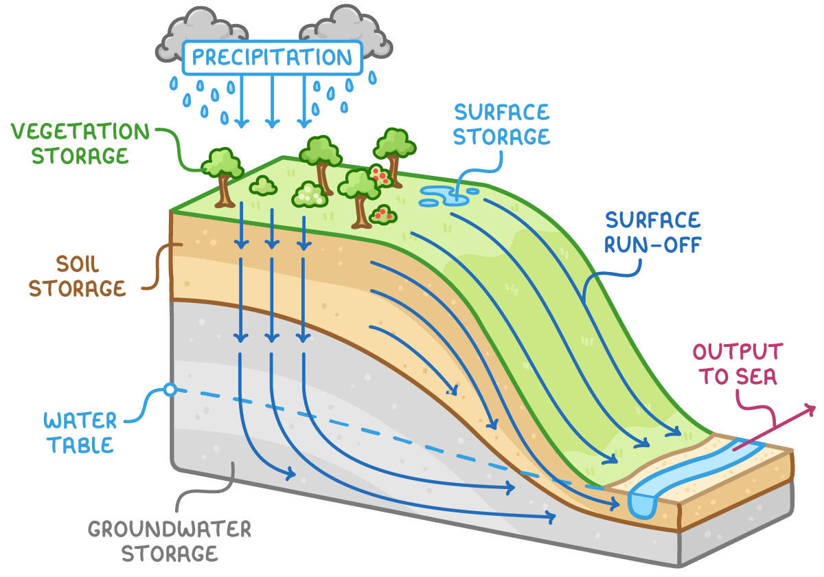 Cut-away hillside showing a drainage basin as a system. Precipitation falls on the land and is stored for a while on plants (vegetation storage), in puddles (surface storage), in the soil (soil storage) and in the rock below the water table (groundwater storage). Water moves downhill over the surface (surface run-off) and through the ground to the river, which carries it out to the sea.