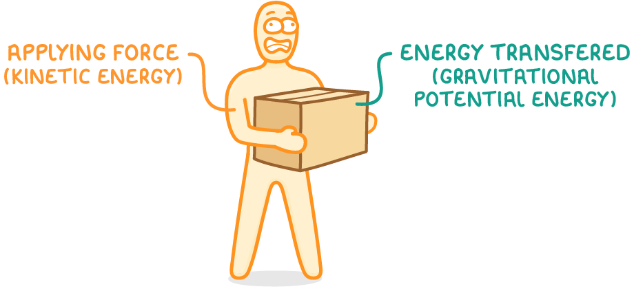 A person holding a large box, labelled applying force (kinetic energy) at their arm and energy transferred (gravitational potential energy) at the box.