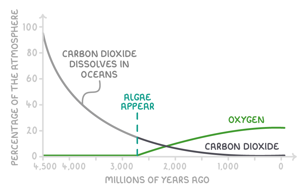 Line graph of percentage of the atmosphere against millions of years ago: carbon dioxide falls from near 100%, labelled carbon dioxide dissolves in oceans, while oxygen rises after a line marking algae appear.