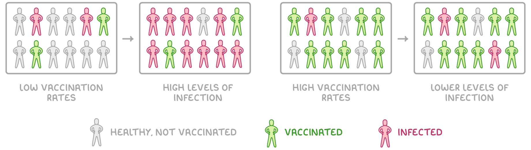Two before and after pairs of grouped figures: low vaccination rates leading to high levels of infection, and high vaccination rates leading to lower levels of infection, with a key for vaccinated and infected.