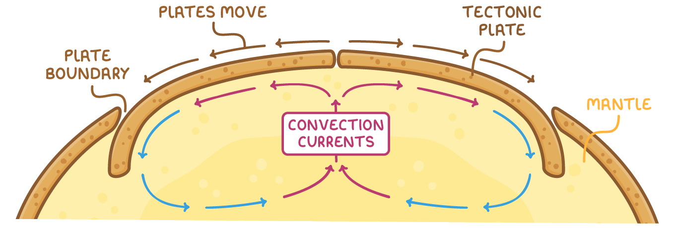 Cross-section of the Earth's outer layer: tectonic plates rest on the mantle, with gaps between them at the plate boundaries. Loops of convection currents in the mantle rise in the middle and spread outwards, and arrows above show the plates moving apart in the same directions.
