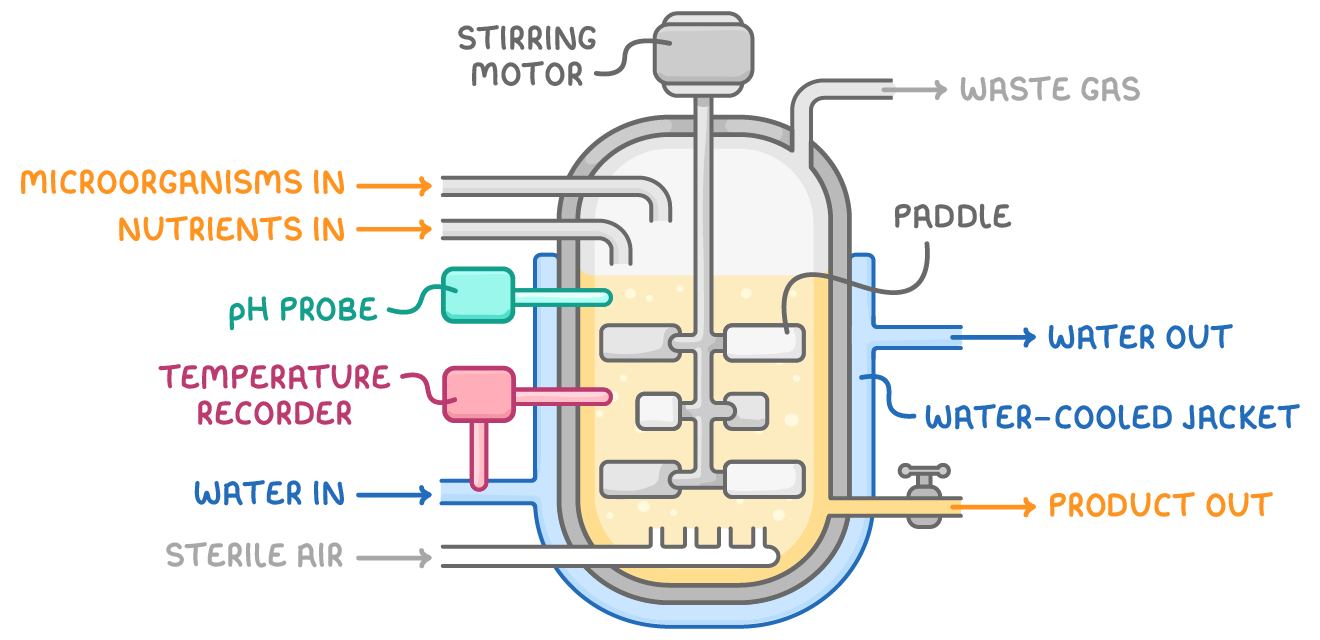 A cutaway fermenter of yellow culture medium labelled stirring motor, waste gas, microorganisms in, nutrients in, pH probe, temperature recorder, water in, sterile air, paddle, water out, water-cooled jacket and product out.