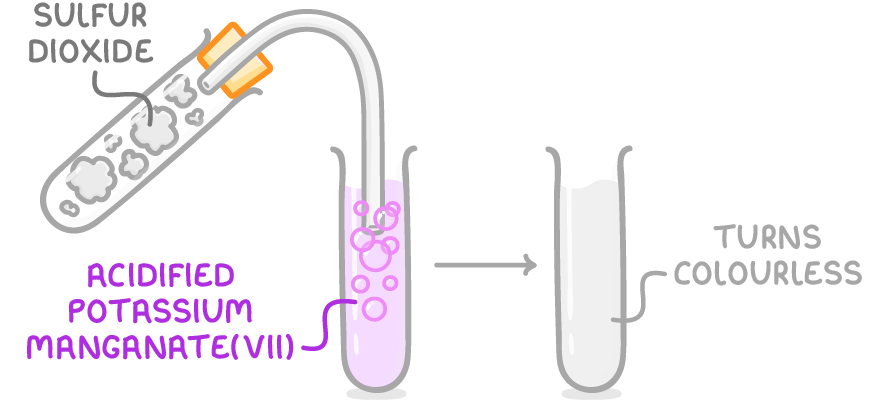 A tilted tube labelled sulfur dioxide connected by a delivery tube bubbling into an upright tube of purple liquid labelled acidified potassium manganate(VII), with an arrow to a clear tube labelled turns colourless.